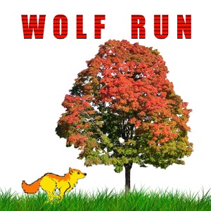 Animal Run Wolf Run加速器