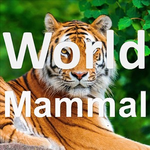 World Mammal - Animal Quiz加速器