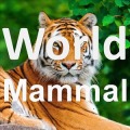 World Mammal - Animal Quiz