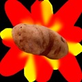 Super Hot Potato