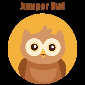 Jumper Owl Game加速器