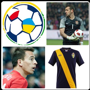 EURO2012 RaPiCa加速器