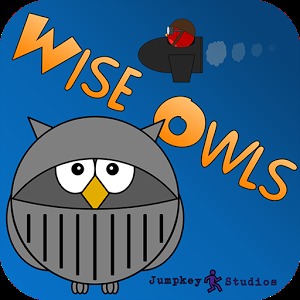 Wise Owls加速器