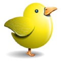 Jungle_Bird