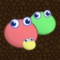Jelly Brothers