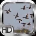 Duck Hunter Pro