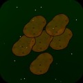 Space Potato