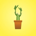 Lucky Cactus Luck Booster Free加速器