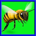 Bee Fighter : Free
