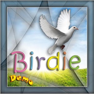 Birdie Demo加速器