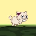 Bomb Kitty