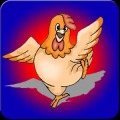 Chicken Merry Christmas