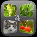 Guess the 4 Pic In 1 Word加速器