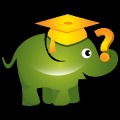 Elephant Mega Memory