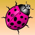 Crazy Beetles