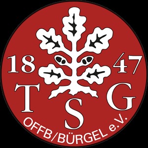 TSG Offenbach-Bürgel Handball加速器