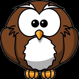 OwlHunt加速器