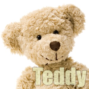 Teddy Slider Puzzle加速器