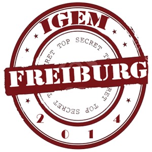 iGEM Freiburg Quiz加速器