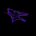 Kansas Wesleyan Coyotes