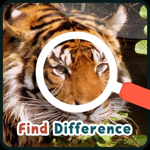 Find Differences : Wildlife加速器