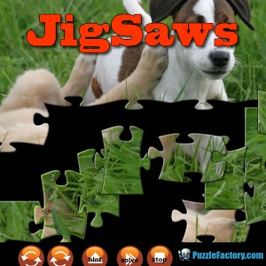 Puppy Jigsaw Puzzle 1000x600加速器