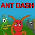 ANT DASH PRO