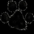 Puzzle Cats