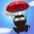 CatDive