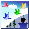 Shoot The Birds