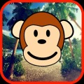 Coconut Throwing Game加速器