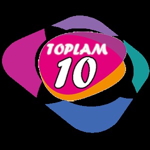 TOPLAM 10加速器