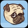 Pug Run!