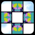 Sudoku Kaleidoku