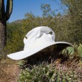 Hats For All Game加速器