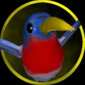 Fantastic Space Bird