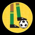 shout! - World Cup