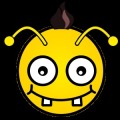 Stupid Bee