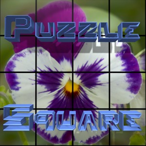 PuzzleSquare - Pack 1加速器