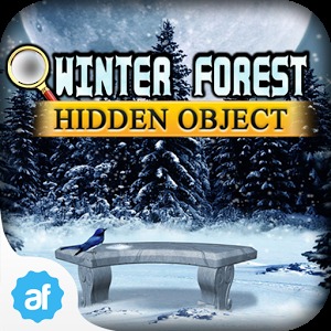 Hidden Object Winter Forest加速器