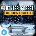 Hidden Object Winter Forest