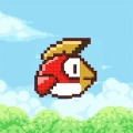 Rocky Bird