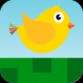 Greenland Bird