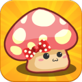 Mushroom House Design
