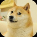 Doge Breeding