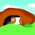 Davy The Cavy