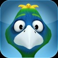 Birds of Paradise