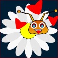Daisy Crazy
