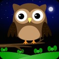 Owl.ee加速器