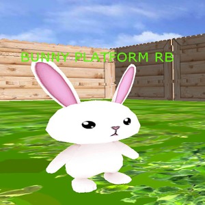 Bunny Platform RB加速器